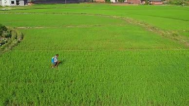 在田地里喷洒农业的农民视频的预览图